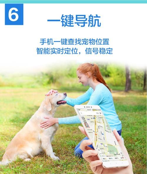 捡到千年猫更新地址换了吗？实时追踪最新跳转入口