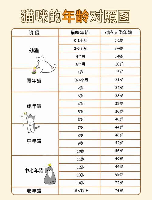 捡到千年猫最新版本靠谱吗？实测避坑防骗指南