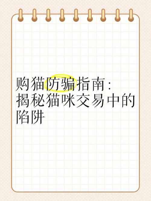 捡到千年猫最新版本靠谱吗？实测避坑防骗指南