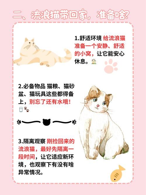 捡到千年猫最新版本靠谱吗？实测避坑防骗指南