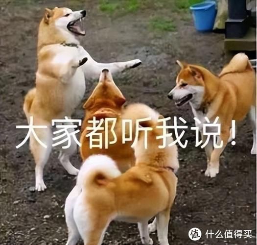 揭开未知的面纱游戏介绍看不懂？老玩家手把手教学！