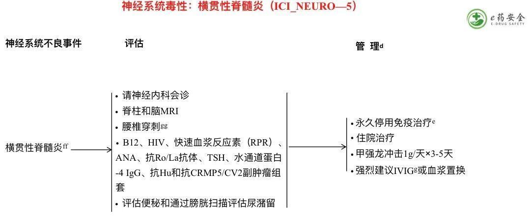援助妊娠学院3.1最新版本是多少？(一键获取完整指南)
