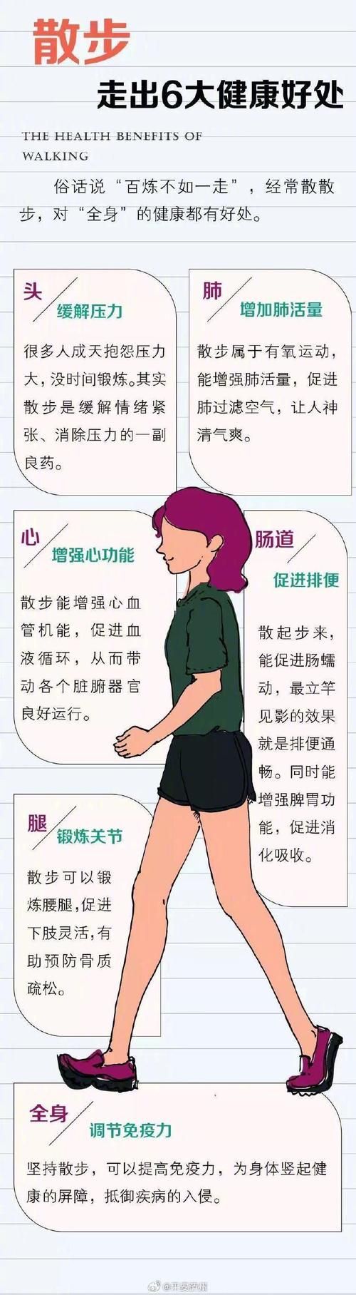 援助妊娠学院3.1汉化版最新更新内容有啥好处？(关键优势大解析)