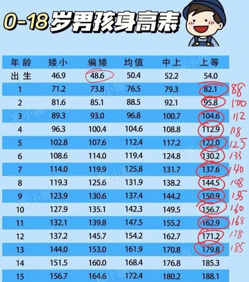 援助妊娠学院安卓3.1下载速度快吗？实测对比结果揭晓！
