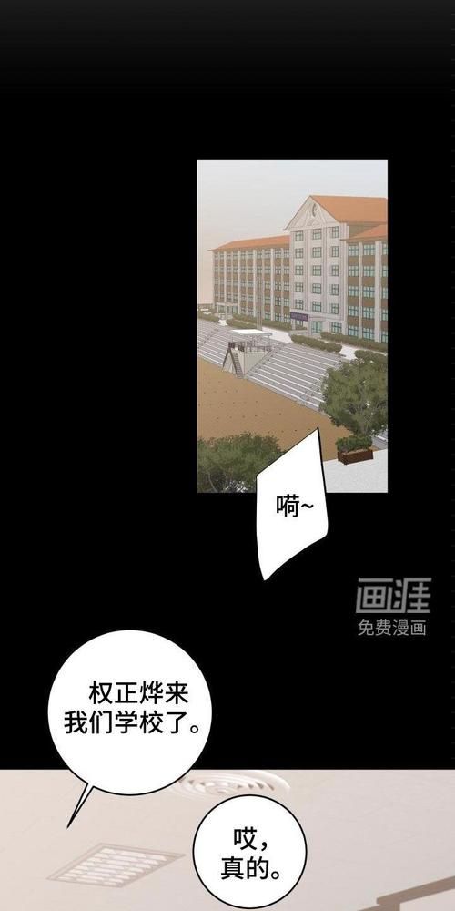 搜查官丽花在哪下载(手机兼容指南全面解析)