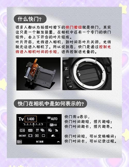 摄影师的谎言如何下载完整版？揭秘内部人员操作流程