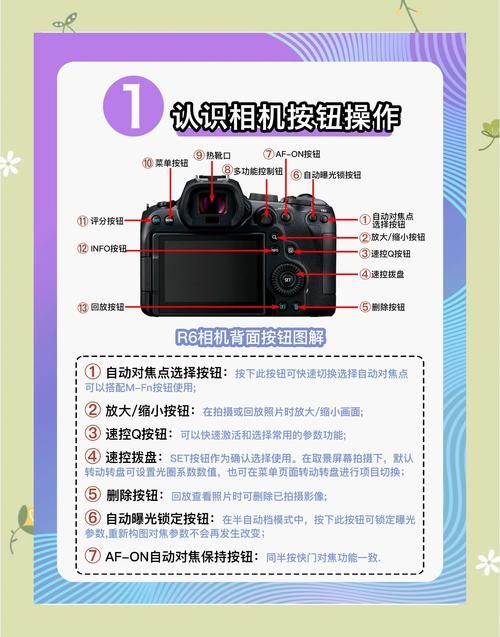 摄影师的谎言安卓怎么玩？5步操作新手也能快速上手