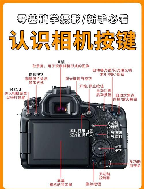 摄影师的谎言官方网站下载教程？(简单操作步骤图解)