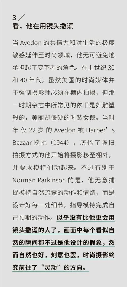 摄影师的谎言汉化版最新更新内容哪里找最好？推荐几个靠谱站点！