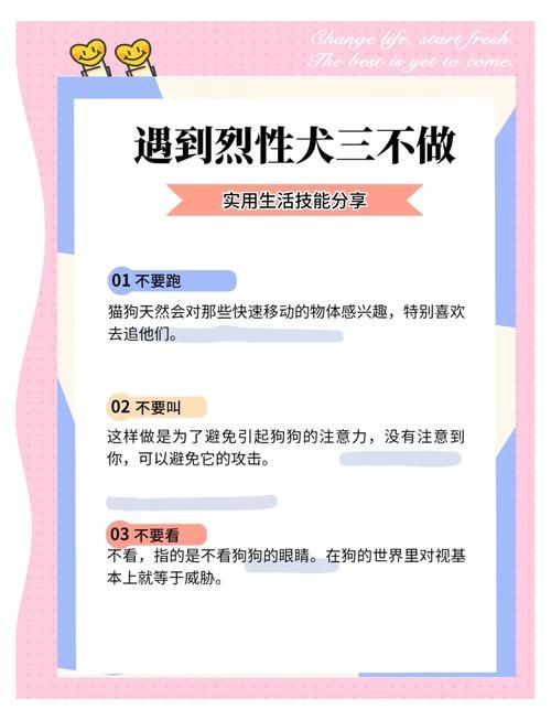 撩妹模拟器更新地址怎么用？简单三步教你快速升级