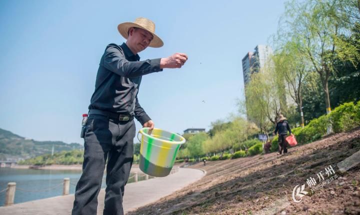 播种都市下载地址安全吗？资深用户推荐3个靠谱平台