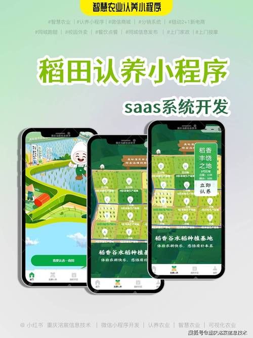 播种都市下载地址安全吗？资深用户推荐3个靠谱平台