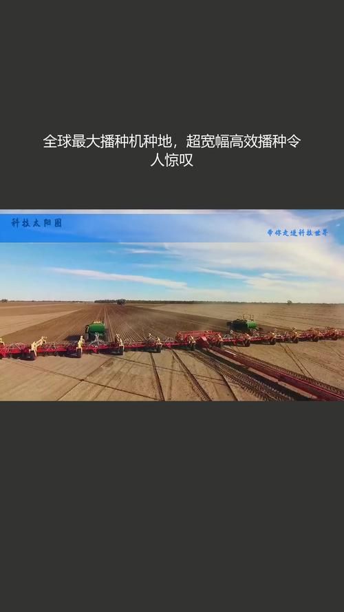 播种都市官方网站有哪些功能？(城市服务全解析看完就懂！)