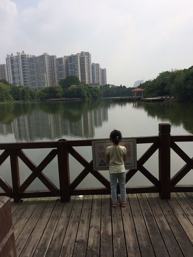 播种都市汉化版下载怎么操作？跟着这5步骤轻松搞定