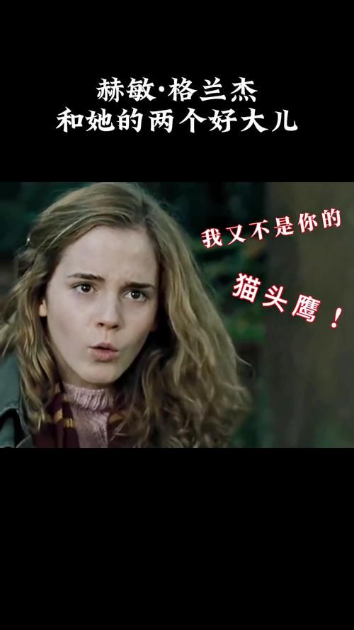 教育赫敏V1.46魔改更新地址效果怎么样？真实用户体验分享贴