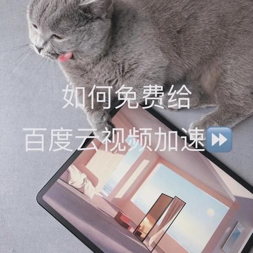 斯拉特福德安卓下载速度快不快(加速技巧轻松提升效率)