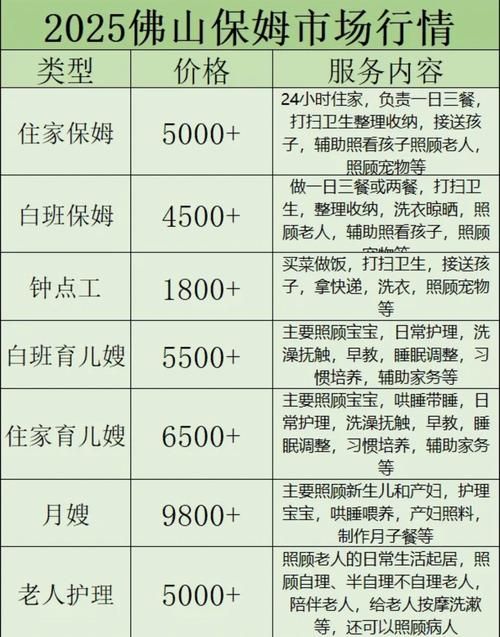 新保姆版本大全保姆价格对比不同版本保姆费用全知道