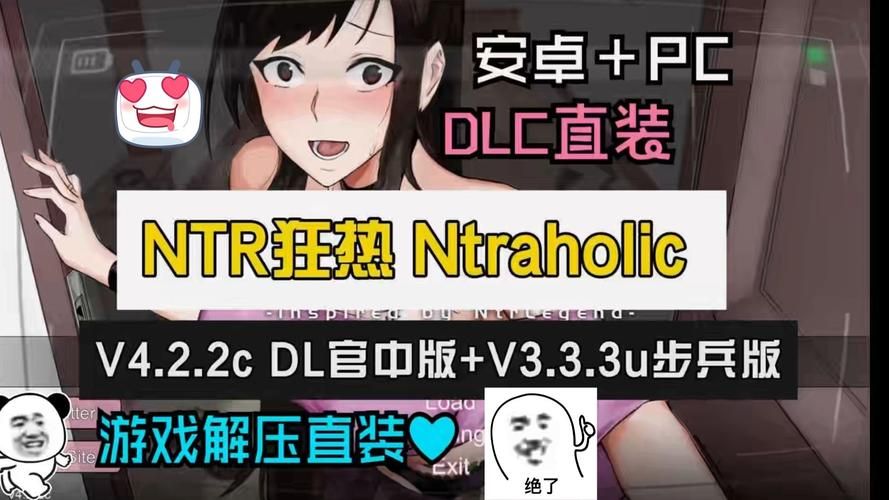 新手如何玩转NTR狂热版本大全？快速入门技巧分享！