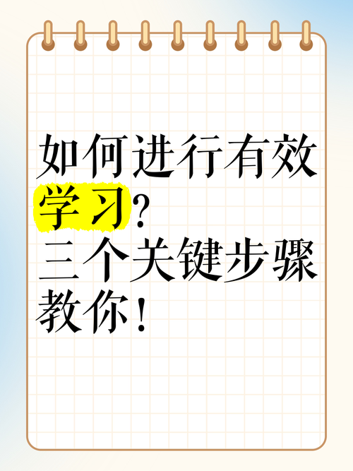 新手官网入门指南？关键步骤一步步学习！