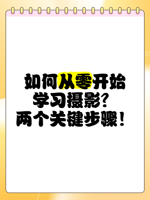 新手官网入门指南？关键步骤一步步学习！