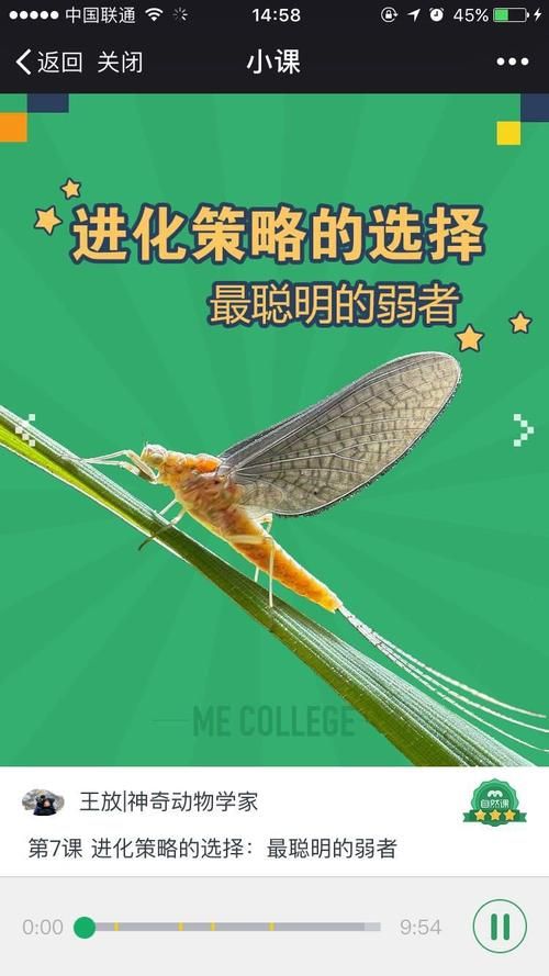 新手怎么看蜉蝣游戏介绍？必备攻略轻松掌握技巧！