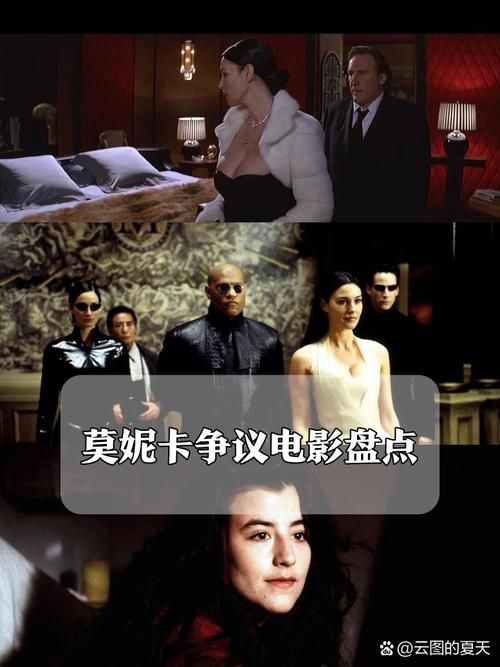 时尚女王莫妮卡S2大结局下载地点在哪？最佳平台推荐指南详解！