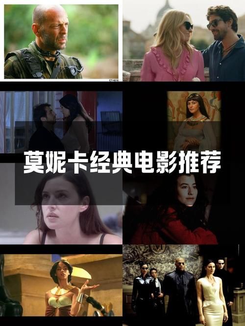 时尚女王莫妮卡第3季完结在哪下载？快来看安全下载技巧！