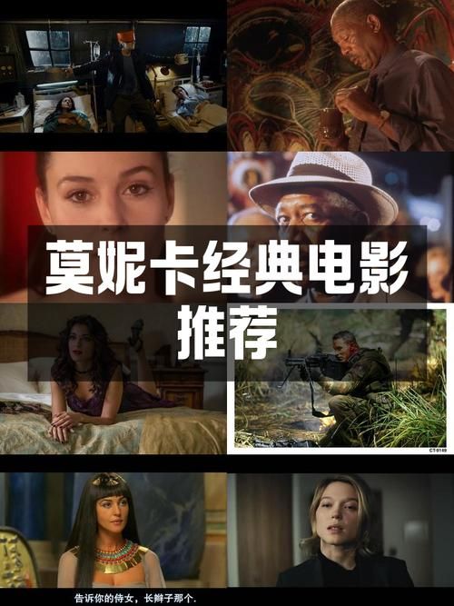 时尚女王莫妮卡第3季完结最新剧情揭秘？三大亮点必看内容！
