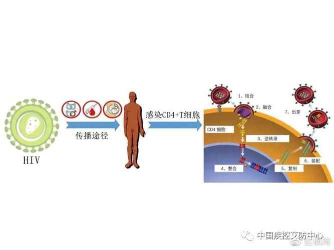 时空旅行在哪下载安全？避免病毒实用技巧分享！