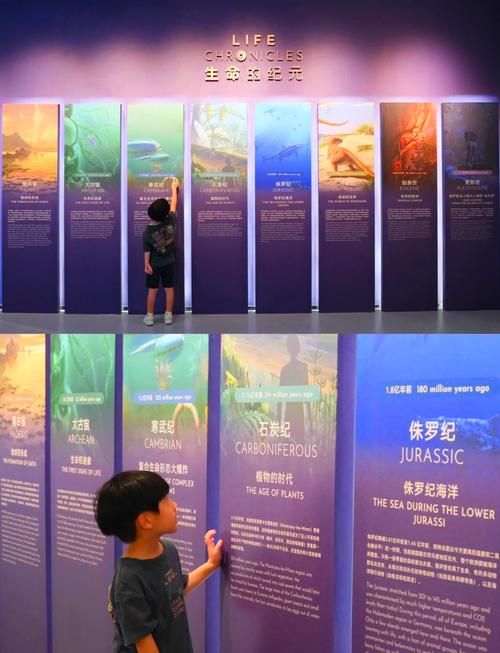 时空旅行最新版本是多少？实用步骤了解新版本！