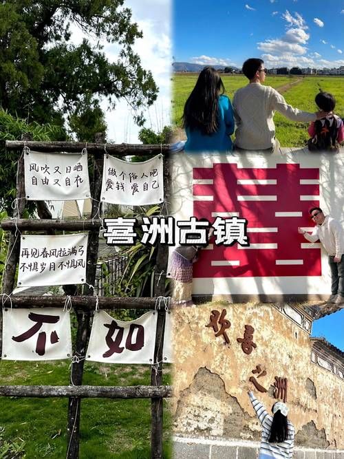 时空旅行版本大全效果如何？用户真实体验分享！