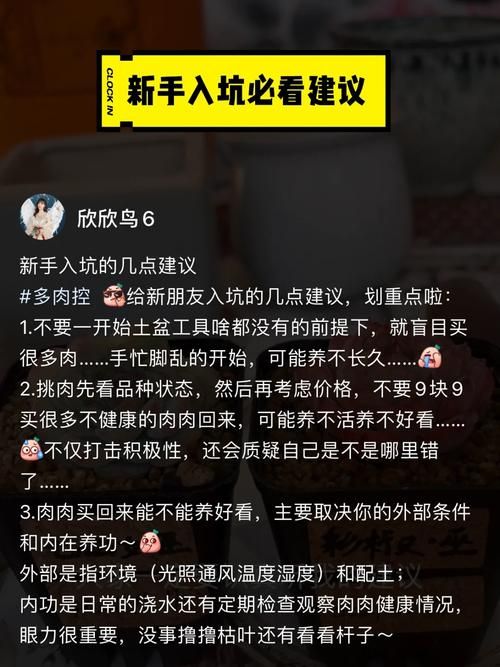 时限V0.2.1攻略怎么使用(老玩家实操经验分享)
