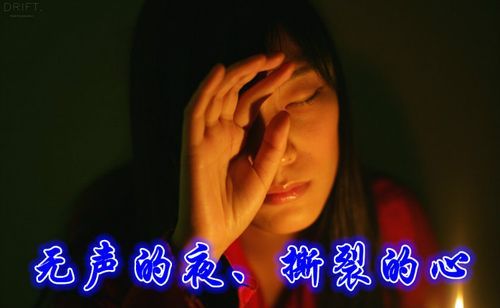 昏暗之声汉化版下载后玩不了？(修复方法一步到位！)