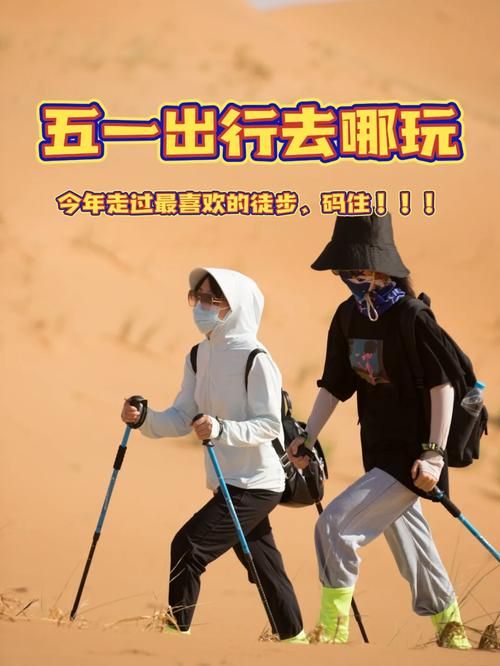 最后绿洲在哪下载哪个好？对比三家平台选对不纠结！