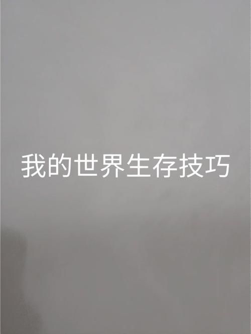 最后绿洲安卓新手入门教学：生存必须知道的技巧！