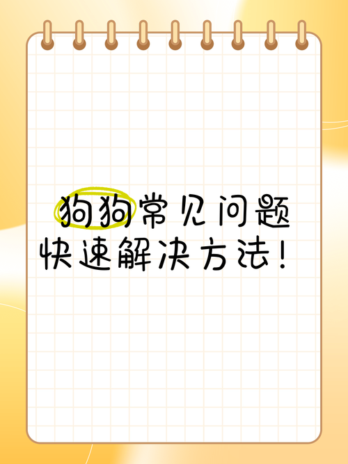 最新更新常见问题怎么解决？(实用技巧快速处理)
