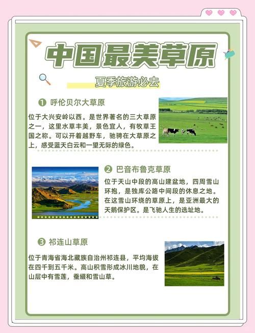 最新青青草原官方正式版下载入口 认准官网渠道避坑指南