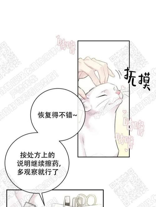 月下40部汉化版下载常见疑问？汉化组亲测版本推荐