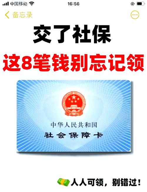 林晓蜜社保音声官方网站作用大？用户实测效果解析！