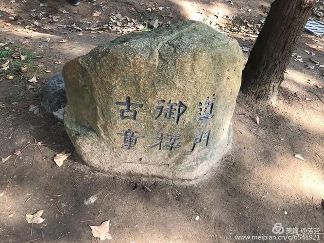 枫之恋官方网站活动更新(独家福利限时抢购)