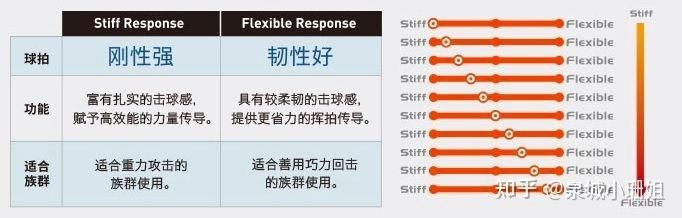 校花小冰游戏介绍是什么？(新手必看入门指南大全)