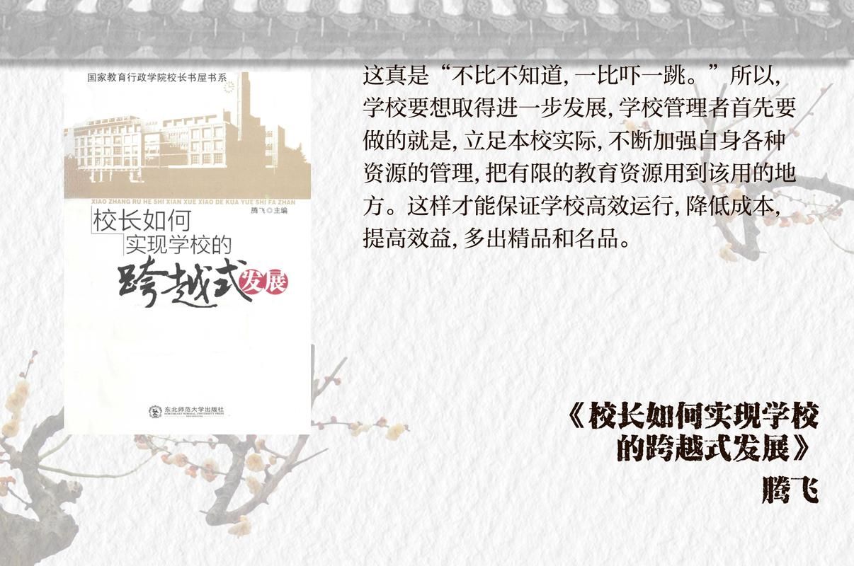 校长先生汉化版更新内容包括哪些新元素？功能亮点全揭秘！