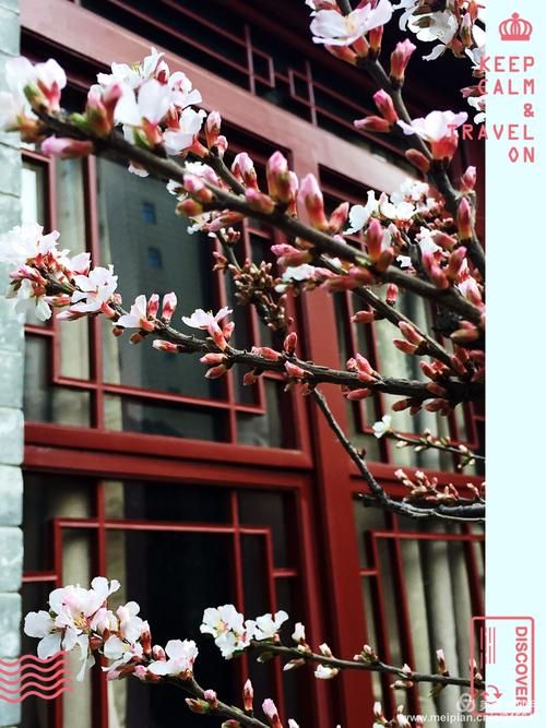 桃花境在哪下载手机版？电脑端同步安装教程