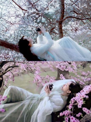 桃花境在哪下载手机版？电脑端同步安装教程