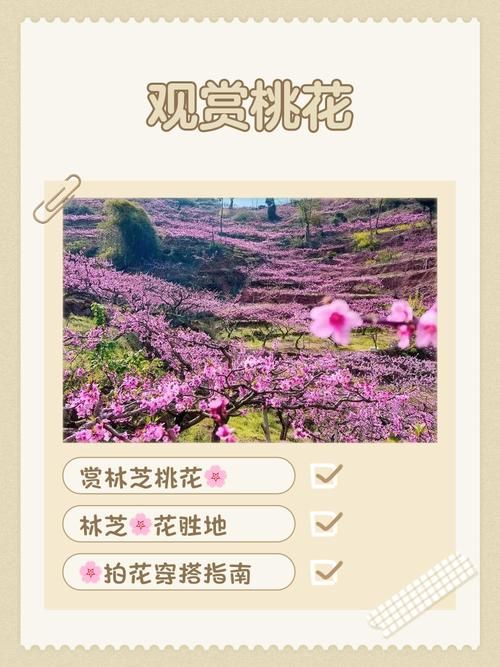 桃花境如何下载高效方法？节省时间必看秘籍！
