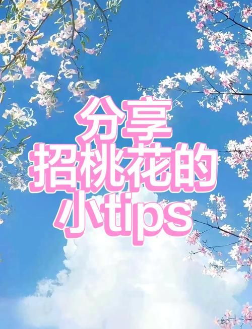 桃花境如何下载高效方法？节省时间必看秘籍！