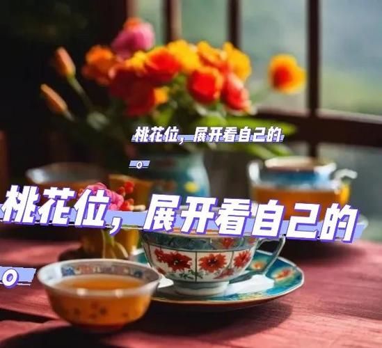 桃花境安卓汉化怎么安装？(简单五步搞定新手教程)