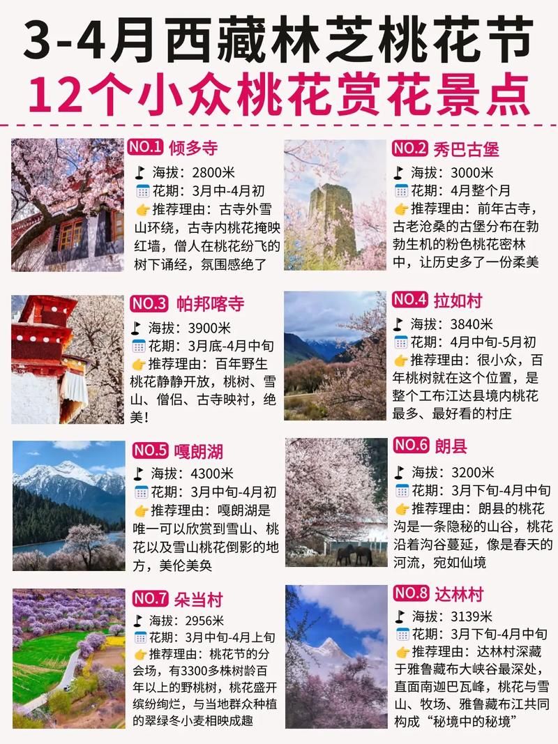 桃花境最新有啥活动？热门打卡点抢先剧透啦！