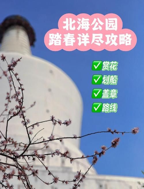 桃花境游戏攻略怎么通关快？10分钟速通玩法教学