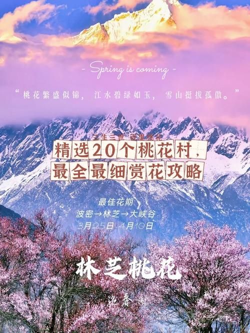 桃花境游戏攻略怎么通关快？10分钟速通玩法教学